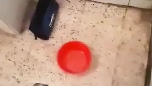 Mastürbasyon ve boşalma