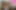 Clara Elle Eros ve Hasmik 31 talimatı ile 31 talimatı oyunu diyor