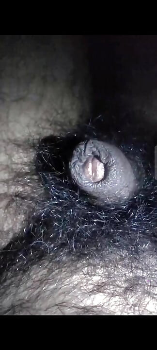 My dick is hungry for pussy