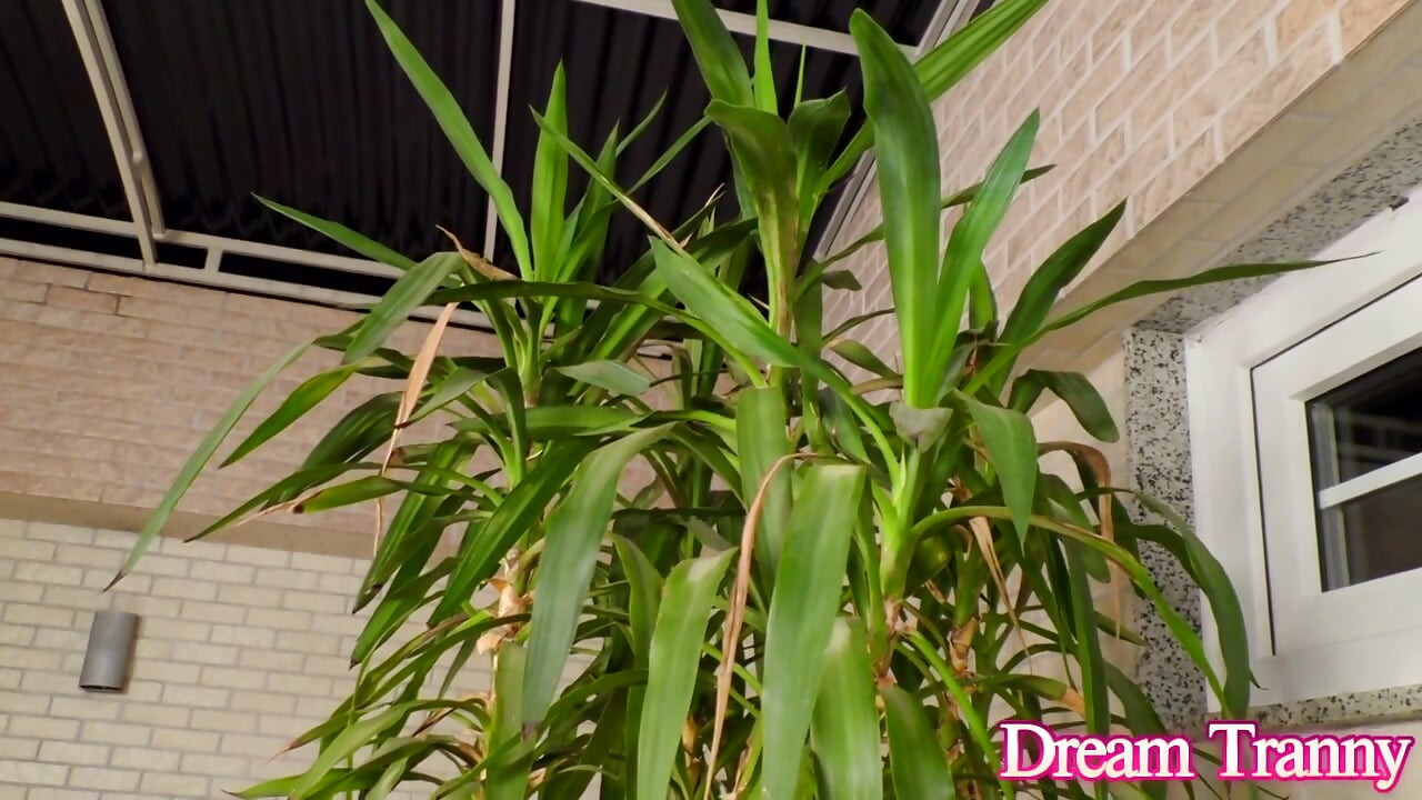 Hot Tranny Yasmin Dornelles Strokes Her Big Dick