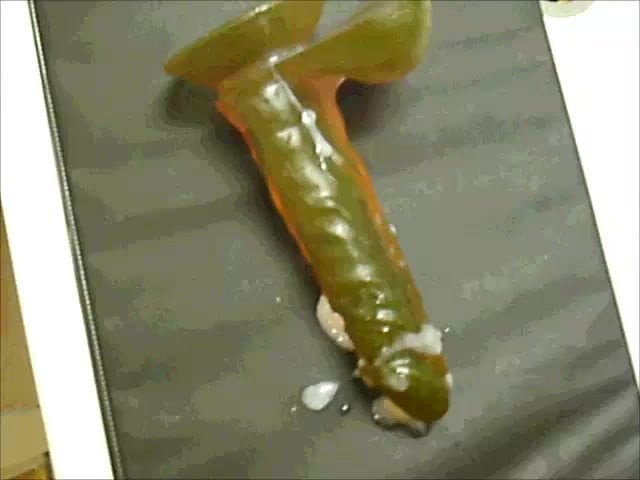 JO 5