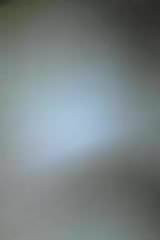 argenta whatsapp
