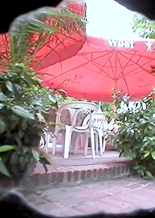 Hairy Pussy Towed in Coffee