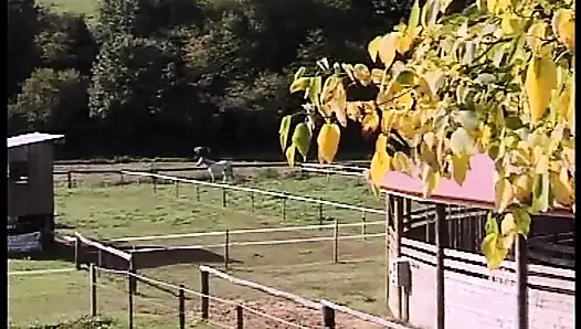 Die analen Gelüste einer läufigen Schlampe