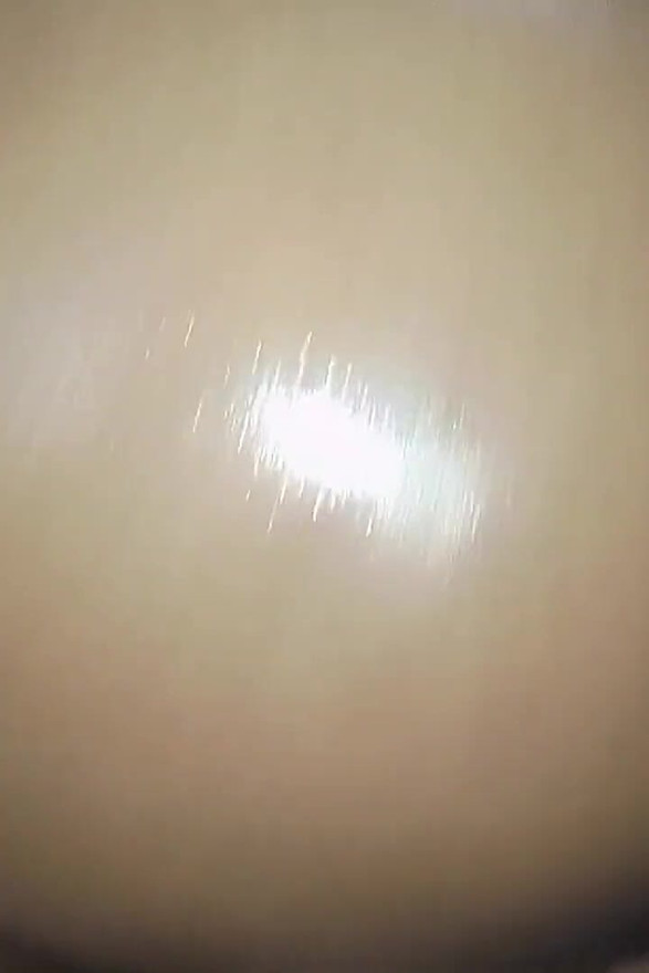 Titty Fuck and Hard Reverse Cowgirl, Backshots and Prone Bone Creampie