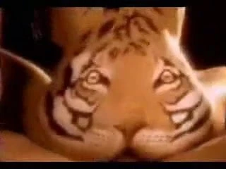 feed the tiger