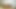 Cheating MILF Stepmom having a secret Sex with her Stepson and she let him Cum inside her deep creampie