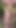 What would you do if you met me like this in the middle of the forest? - Milky Mari