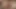 Vekil Paige anal şişe ve anal delik genişletme prenses