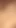 Epic moment from "Beautiful And Naughty Creampies Vol. 5-5"