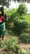 Pratinjau video