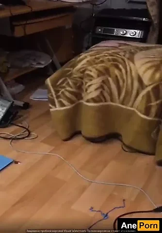 Sister Caught Flashing Her Big Tits