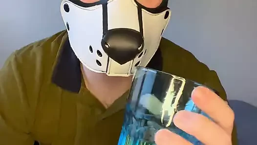 Puppy (Pupplay) drinks his own piss and then his load