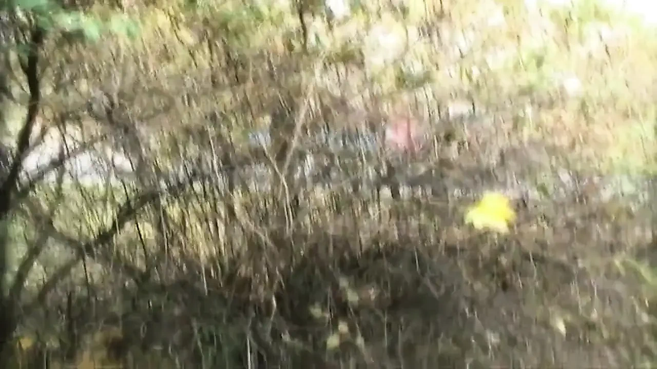 Teenenger Fucked in the Park and Squirted in Mouth