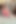 Horny Italian Stella Cox Ripped Pantyhose Wank