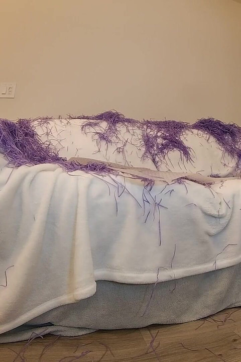 Inflatable Anal Sex Toy on Sofa