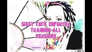 AUDIO ONLY - Sissy cock training all versions