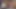 A coworker loves it when you cum on her pussy. POV. JOI. VIRTUAL SEX