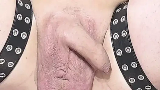 Wir haben es wieder gemacht