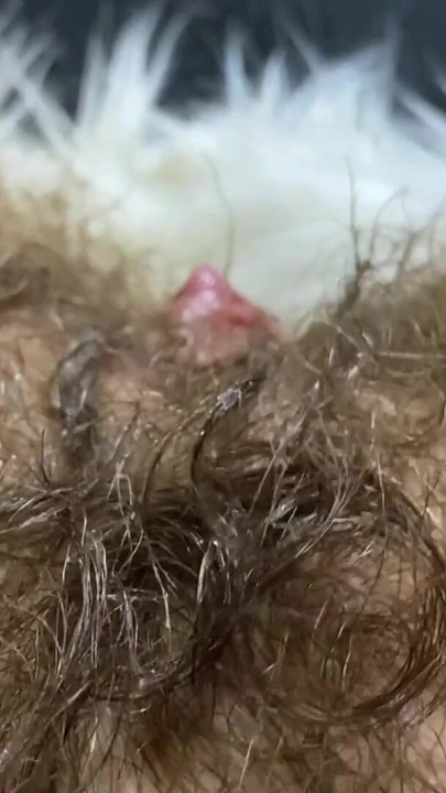 "거유의 클리토리스가 큰 오르가즘 깊숙이 질을 따먹는" 강력한 순간