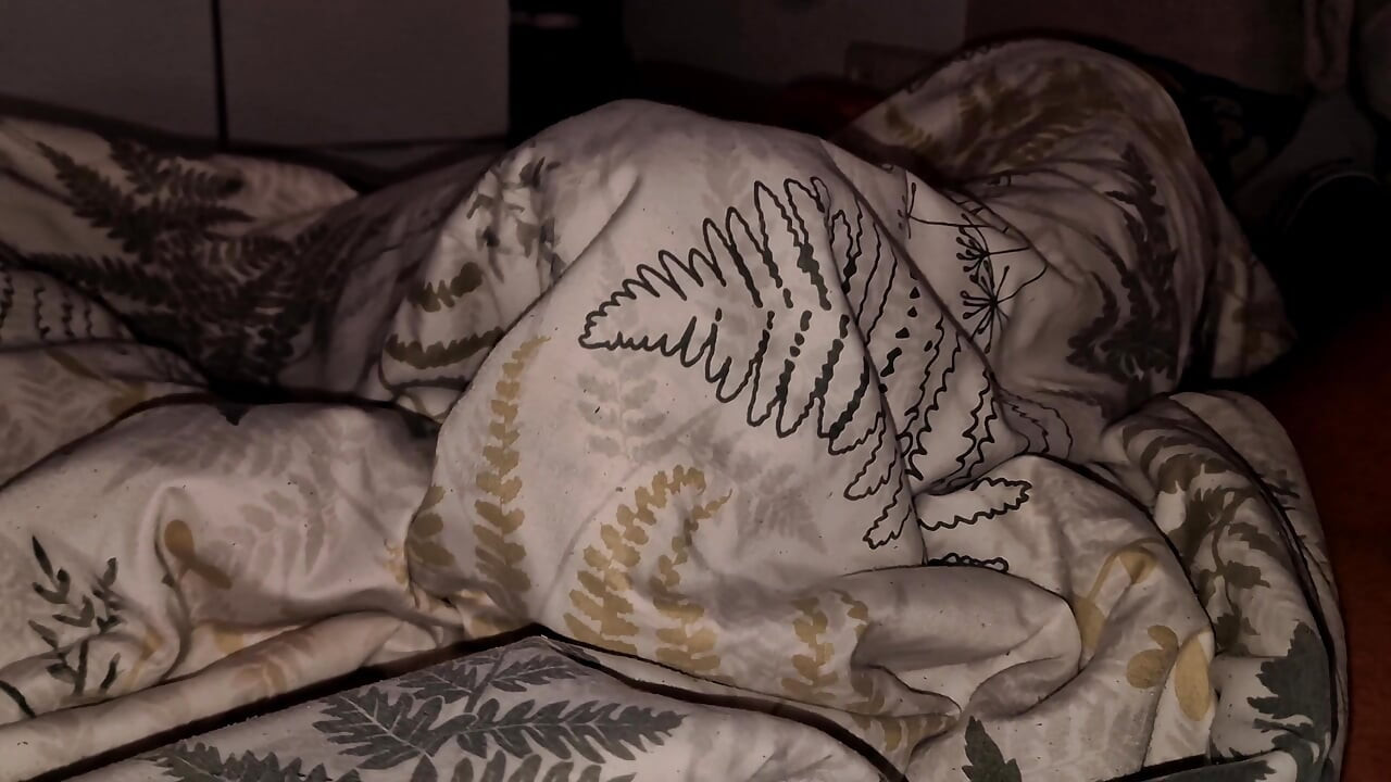 Împărțirea unui pat cu fratele meu vitreg virgin nu a fost o idee bună, am sfârșit prin a mă juca cu pula lui tare sub huse și o frec pe ea