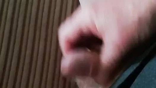 benim küçük horoz