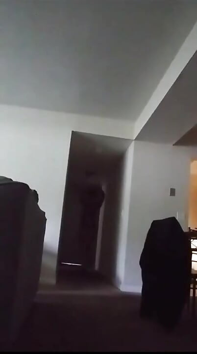 Lecţii