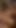 Carmen Croft, Liza del Sierra, Mela ve Stacy Silver ile ateşli kovboy kız derlemesi