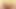 A Collection of Delicious Creamy Pleasures