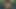男のチンコを激しくしゃぶる