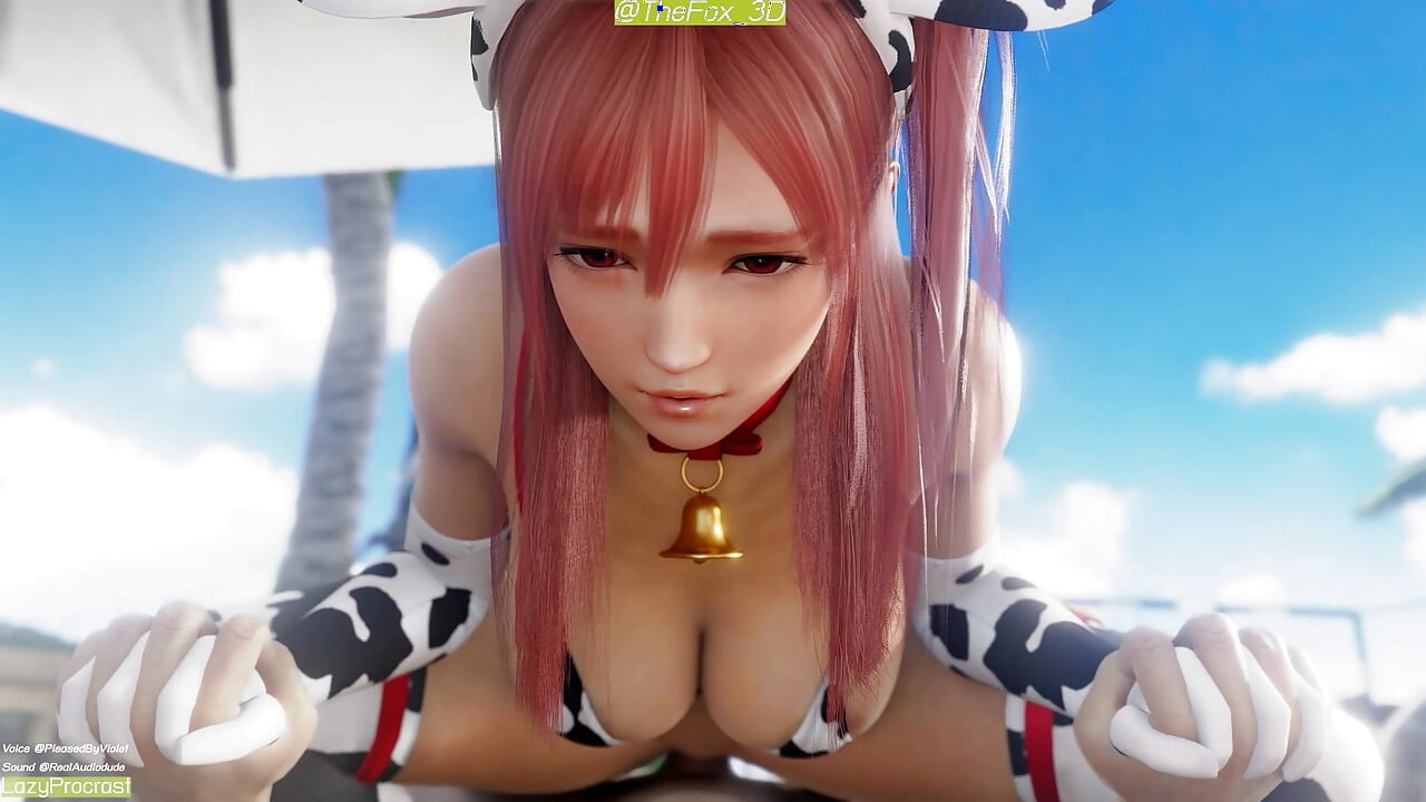 Dead or Alive Girl DOA Riding - Re Mix Normal WM Sound By LazyProcrast Animation 3D Hentai Compilation