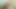 Nasty German BBW blonde sucks dick