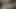 الملاك الآسيوي 26126