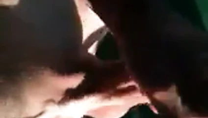 Cumshot itibaren 8 hrs arasında sert çük