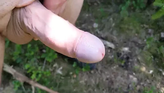 My Cock in the Forest
