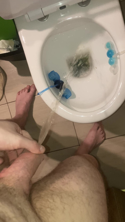 Κατουράει στην τουαλέτα