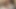 Cathy patrick 70'lerin porno büyük memeli şişman götü
