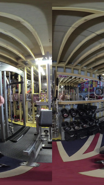 Lisa Cross - VR 2