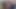 ナイロンマニアック078
