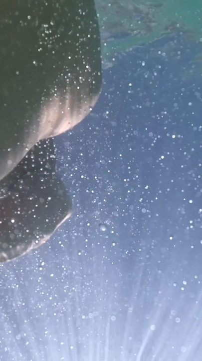 Underwater Pussy Play with a Plug