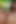 Ashli Orion'un söylediği seksi şeyleri ve bu oral seks videosunda ne yaptığını dinle!