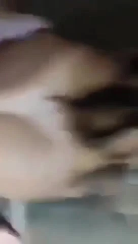 Rasturanje milfare. Kako dobro jebes!  Milf fucking