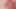 Trans Girlfriend Dick and Balls Worship