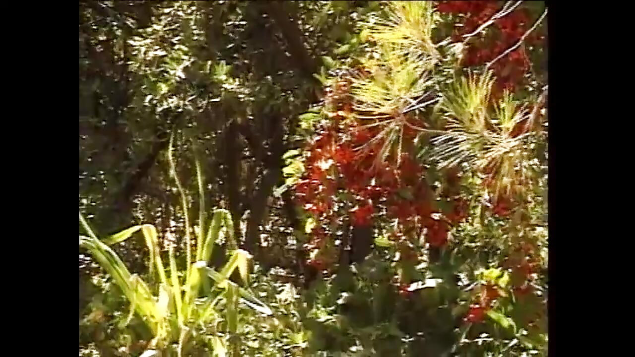 Ludo voli kurac - Vol. #04