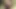 Naughty shemale is fond of slapping her boner while getting her asshole nailed by hard stiff cock in the forest
