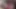 Ts teenage girl sucks her bf's cock n 69 pose