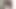 Shy teen cant wait to get a fat cock in her mouth