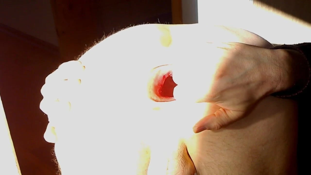 Extreme gaping asshole in wxtreme light
