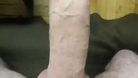 benim Alman büyük horoz