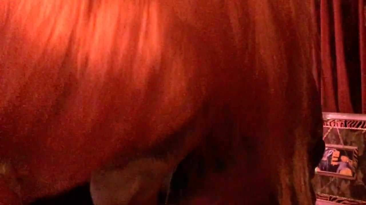 Bettyneu-Blasen